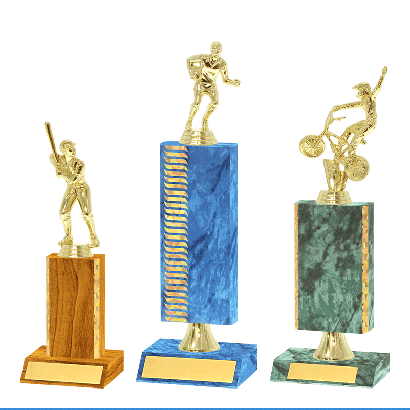 vslue trophies catagory